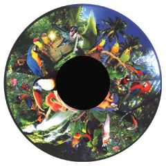 Magnetic Effect Wheel - Tropical Birds