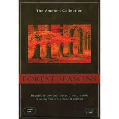 Forest Seasons