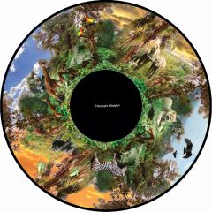 Magnetic Effect Wheel - Africa