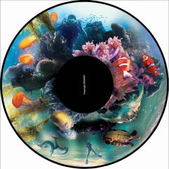 Magnetic Effect Wheel - Underwater