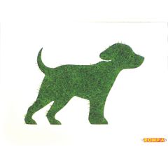 Sensory Picture - Dog