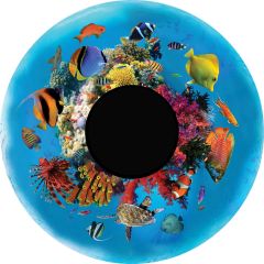 Magnetic Effect Wheel - Tropical Fish