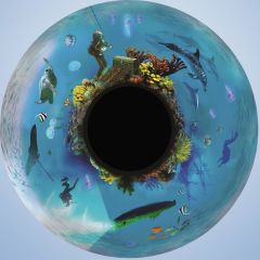 Magnetic Effect Wheel - Deep