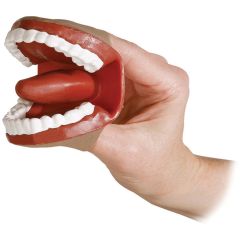 Little Mouth Demonstrator