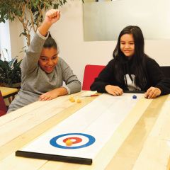 Table Top Curling Game