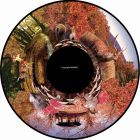 Magnetic Effect Wheel - Autumn Scenes