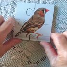 Pets Wooden Jigsaw - Set of 6