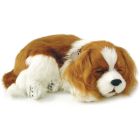 Precious Pets Puppy - Cavalier King