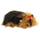 Precious Pets Puppy - Yorkie