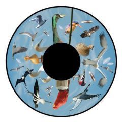 Magnetic Effect Wheel - Birds