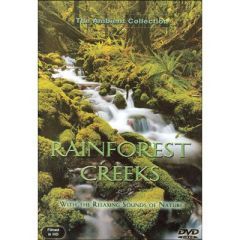 Rainforest Creeks