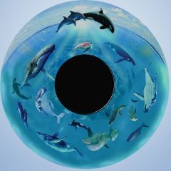 Magnetic Effect Wheel - Whales