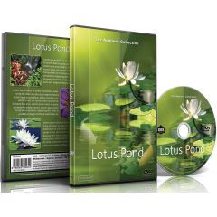 Lotus Pond DVD