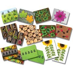 Ladybirds Early Number Cards