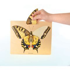 Wooden Peg Puzzle: Butterfly