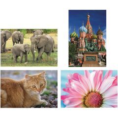 Thera-Jigstick™ Puzzle Set: Cat, Elephants, Daisy and Russian Cathedral