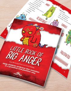 The Little Book of Big Anger