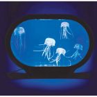 Jellyfish Tank