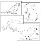 Dot to Dot for Adults - Pets - Set of 48
