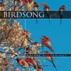 Birdsong